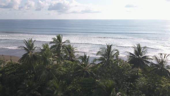 Aerial view of Dominical Beach In Costa Rica in Front of trees, Tracking Wide Shot