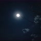 Moon And Tree - VideoHive Item for Sale
