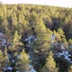 Flying Over Spring Forest - VideoHive Item for Sale