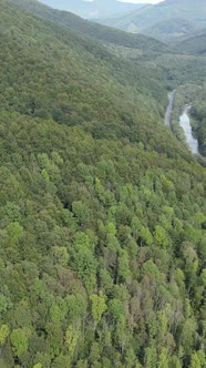 Carpathian Mountains