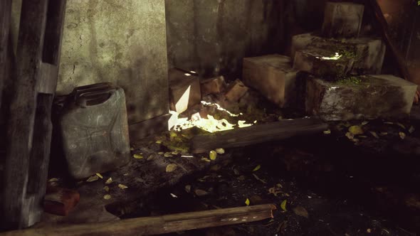 Ruined Abandoned Overgrown By Plants Interior alt