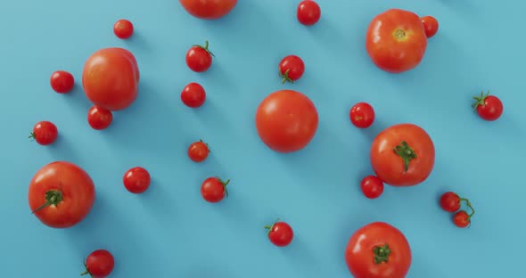 Video of fresh tomatoes and cherry tomatoes on blue background