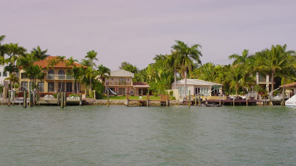 Houses and palm trees on the waterfront