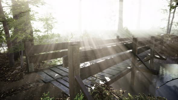 Wooden Bridge in the Forest in the Fog