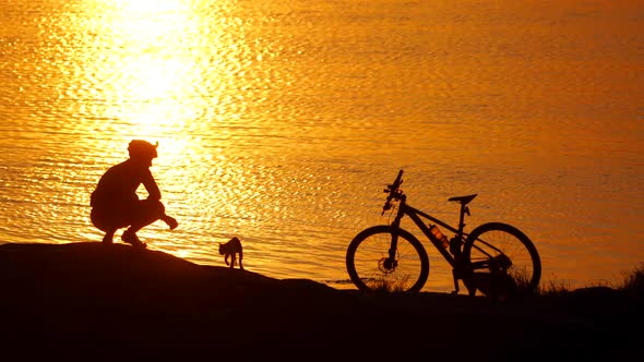 Silhouette of a cyclist two cats and a bike near the river at sunset.