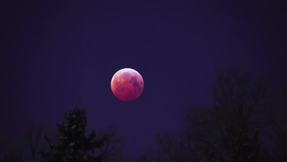 Timelapse of super blood wolf moon, shot in January 21st of 2019 in Finland.