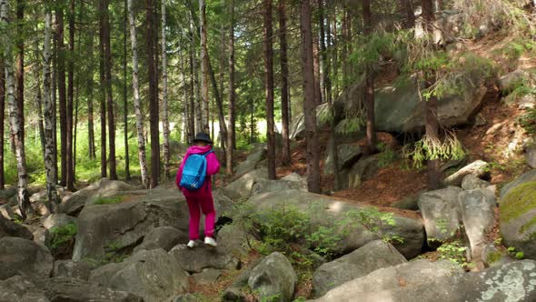 Aerial View of a Girl Walking in the Woods