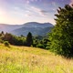 Wonderful Forest and Grassy Meadow at Sunset - VideoHive Item for Sale
