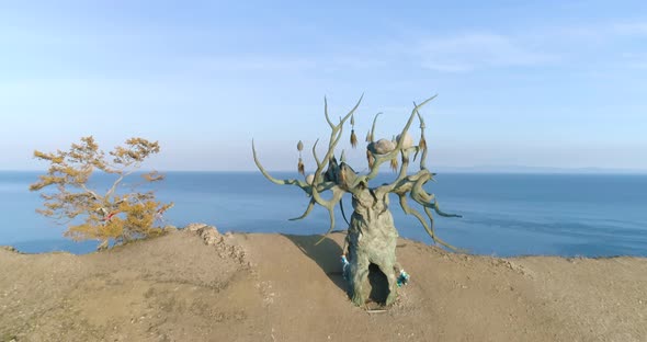 Drone Shot Flying Over landmark of Olkhon Island Baikal Keeper Tree 