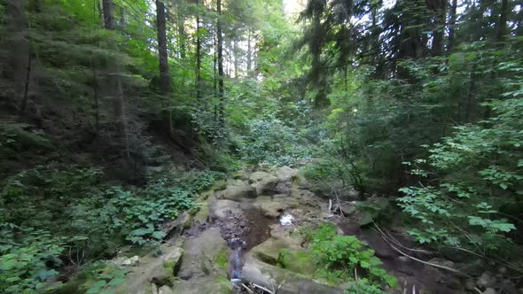 FPV Aerial Drone Shot of Dried Up River or Small Mountain Creek Deep in Green Forest / Videohive, Stock footage, Nature