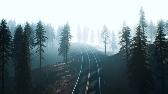 Road Through the Russian Taiga Forest From Aerial View