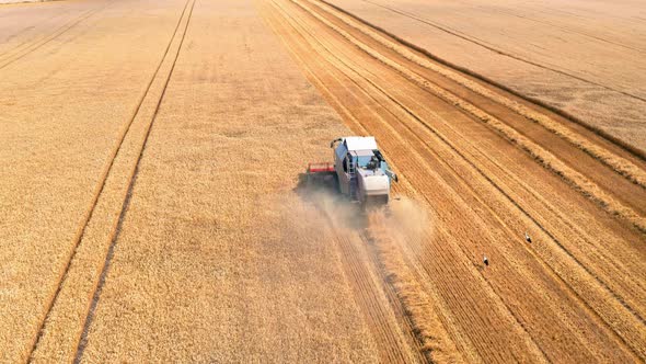 Combine harvesting field in Poland, aerial view