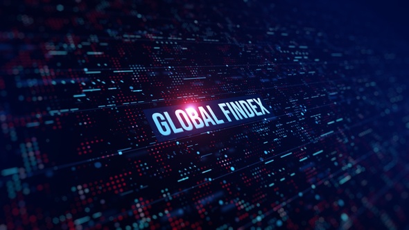 Global Findex Digital Background