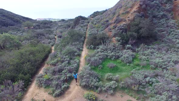 Aerial shot of a young man trail running on a scenic hiking trail.