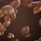 Coffee Beans Falling - VideoHive Item for Sale