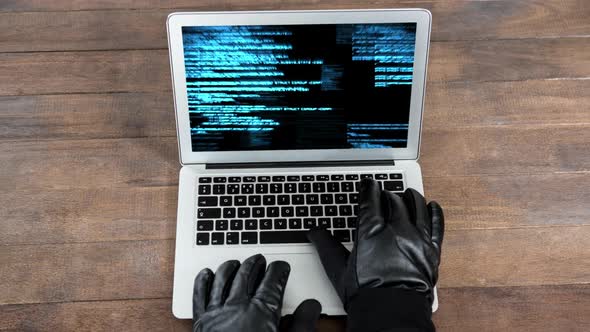 Digital animation of hackers hands on the laptop keyboard 4k alt