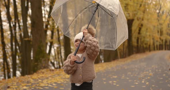 Little Baby with a Transparent Umbrella in the Autumn Park