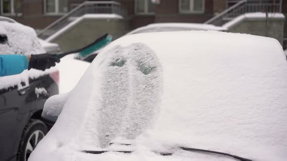 Person Driver Cleans the Car From Snow with a Brush