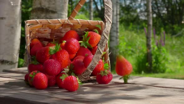 Basket with Strawberries Is Falling on the Table