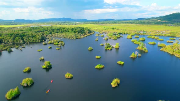 wetlands with various trees represent the integrity of the forest.