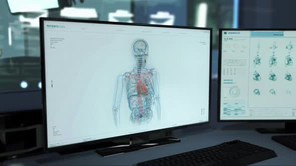 Medical System Conducts Analysis Of Organs In Skeleton To Diagnose Diseases alt