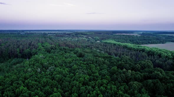 Flight Over Woods Natural Background