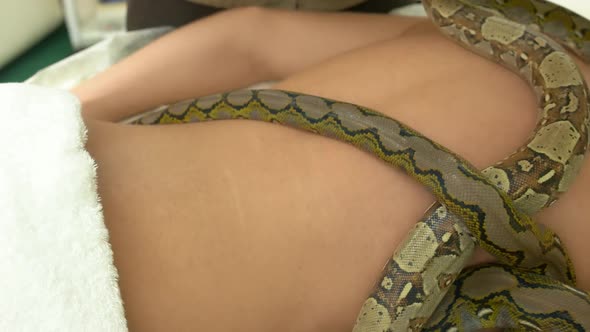 Close Up Python Crawling on Male Naked Back