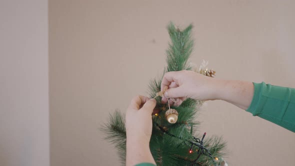 Cropped Image Of A Woman Putting On Acorn Ornament In A Christmas Tree