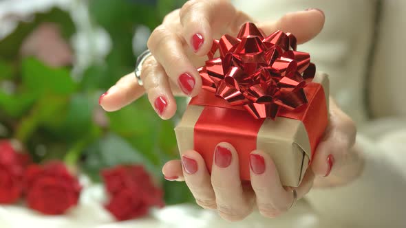 Elegant Little Gift Box in Female Hands.