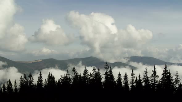 Time Lapse Fog Floating in Mountain Valley with Pine Forest Foreground