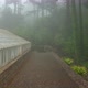 Greenhouses With Opened Windows Covered with Mist in Pena Garden Park and Trees Covered with Leaves - VideoHive Item for Sale