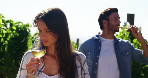 Couple having wine in vineyard