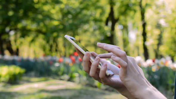 Summer Business Concept Woman Hand Phone