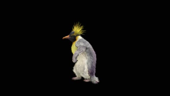 Penguin Dancing HD