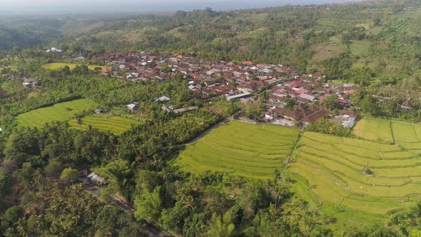 Tropical Landscape with Agricultural Land in Indonesia