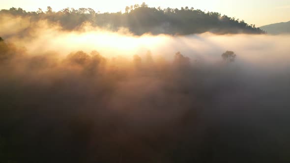 Aerial view from a drone over a foggy forest in the morning