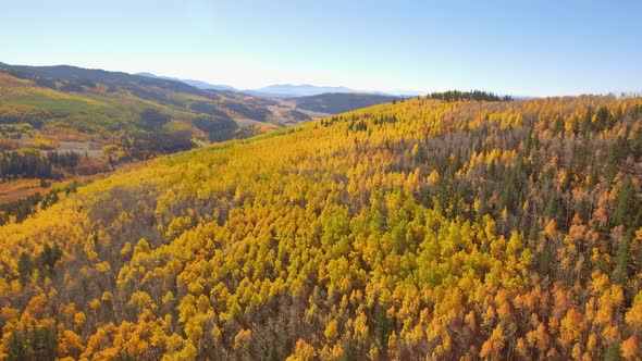 Fall colors on Kenosha Pass, Colorado