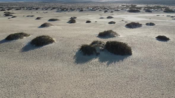 spain canary islands beach CORALEJO