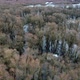 Aerial landscape of nature scene trees in water. Nature scene. Wild life forest. - VideoHive Item for Sale