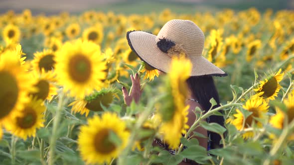 Woman Gently Caressing Flowers With Her Hands