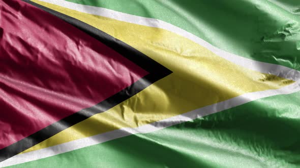 Guyana textile flag waving on the wind loop. 10 seconds loop.