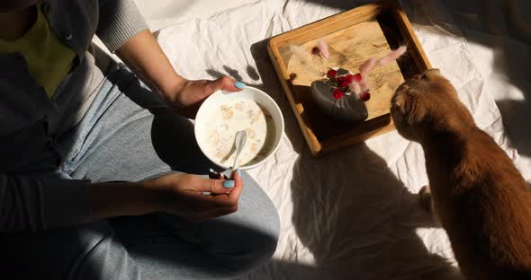 Breakfast in the bed, Woman in jeans sitting on the bed with cat, and eating healthy granola bowl