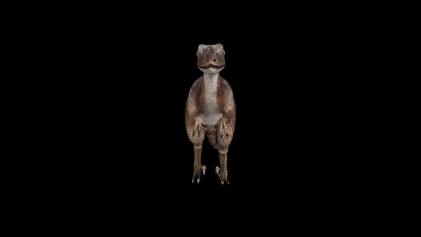 Deinonychus Walk Front View