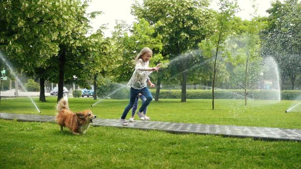 Girls Playing With The Dog At The Park 