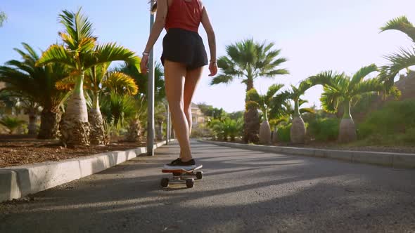 Woman Ride at Sunset Smiling with Boards for Skate Board Along the Path in the Park with Palm Trees