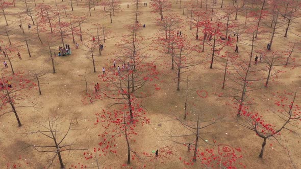 Aerial view of people in a countryside field, Dhaka, Bangladesh.