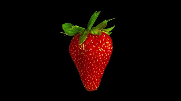 Rotating Strawberry, Isolated Fruit with Alpha Matte