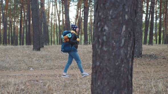 Back View of Woman with Backpack Walking at the Autumn Pine Forest Nature