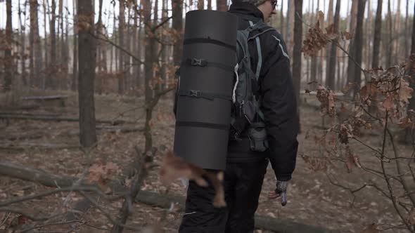 Orienteering in the forest. Tourist on a hike in a forest park with a map.