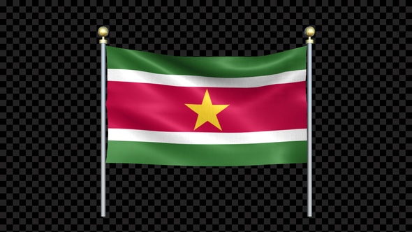 Suriname Flag Waving In Double Pole Looped